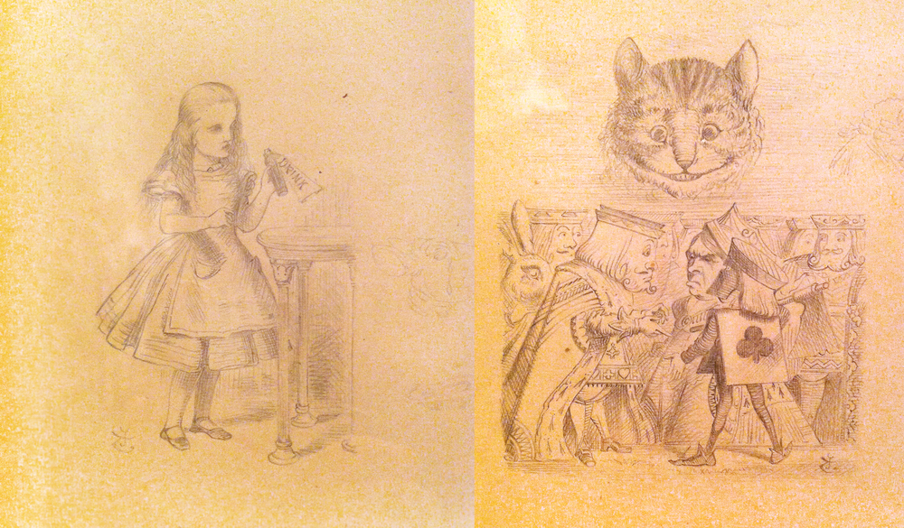 First professional illustrations of
